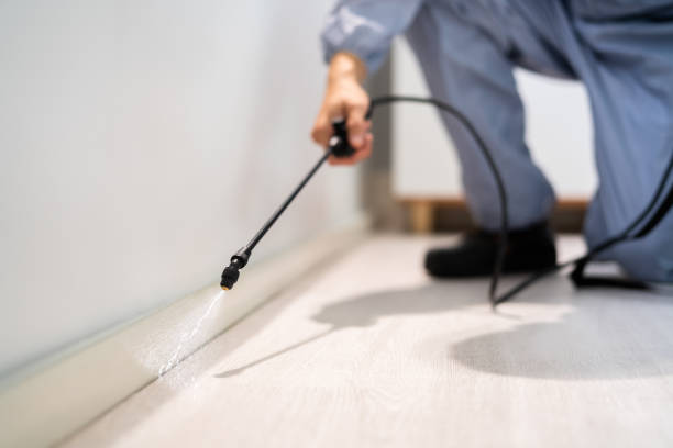 Professional exterminator conducting IPM assessment in Pembroke